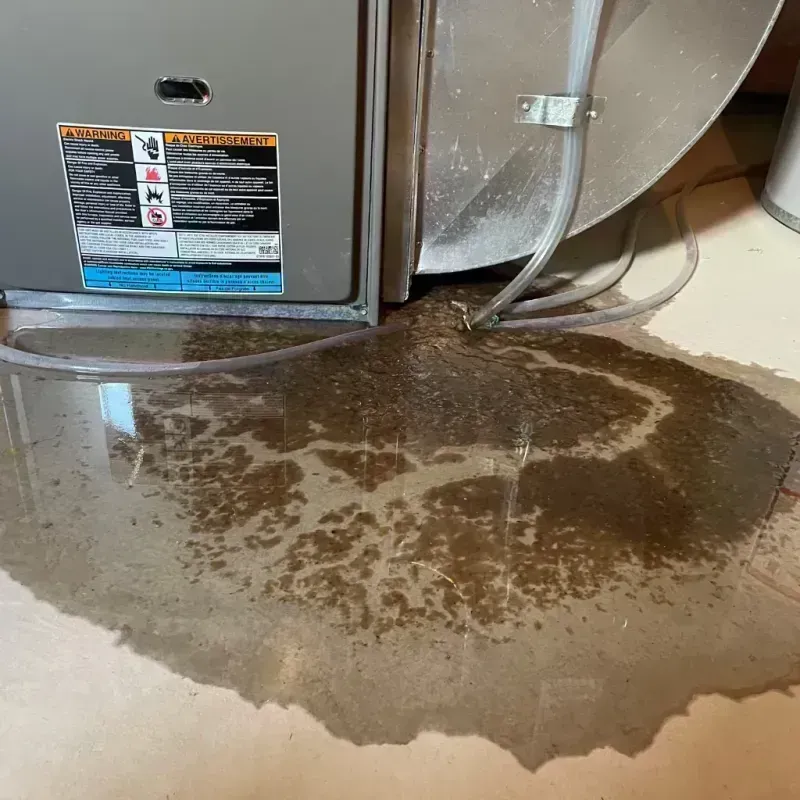 Appliance Leak Cleanup in Agoura Hills, CA